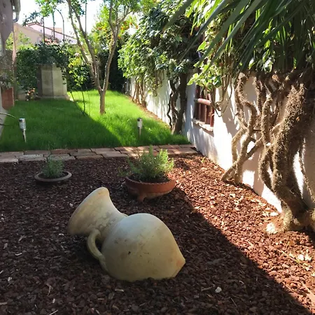 בית הארחה Sea Joy