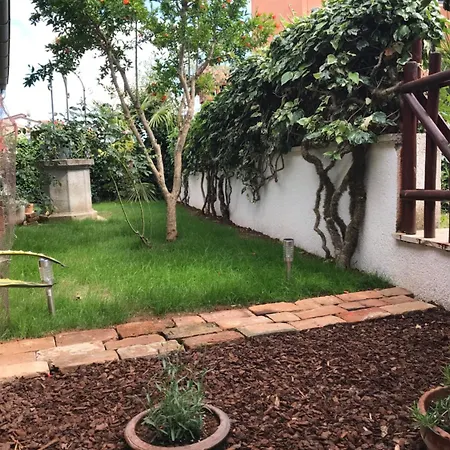 Sea Joy בית הארחה 3*