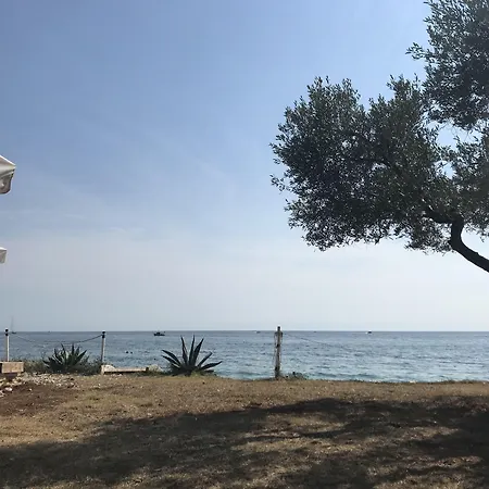 Sea Joy רוביני